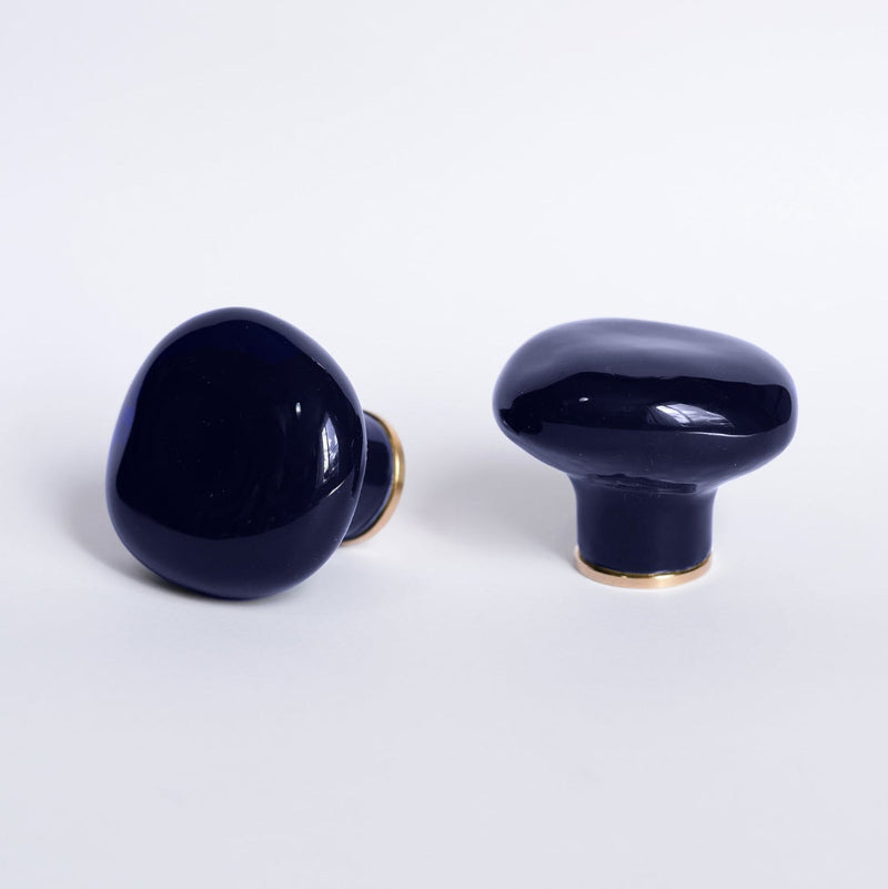 #couleur_bleu sèvres