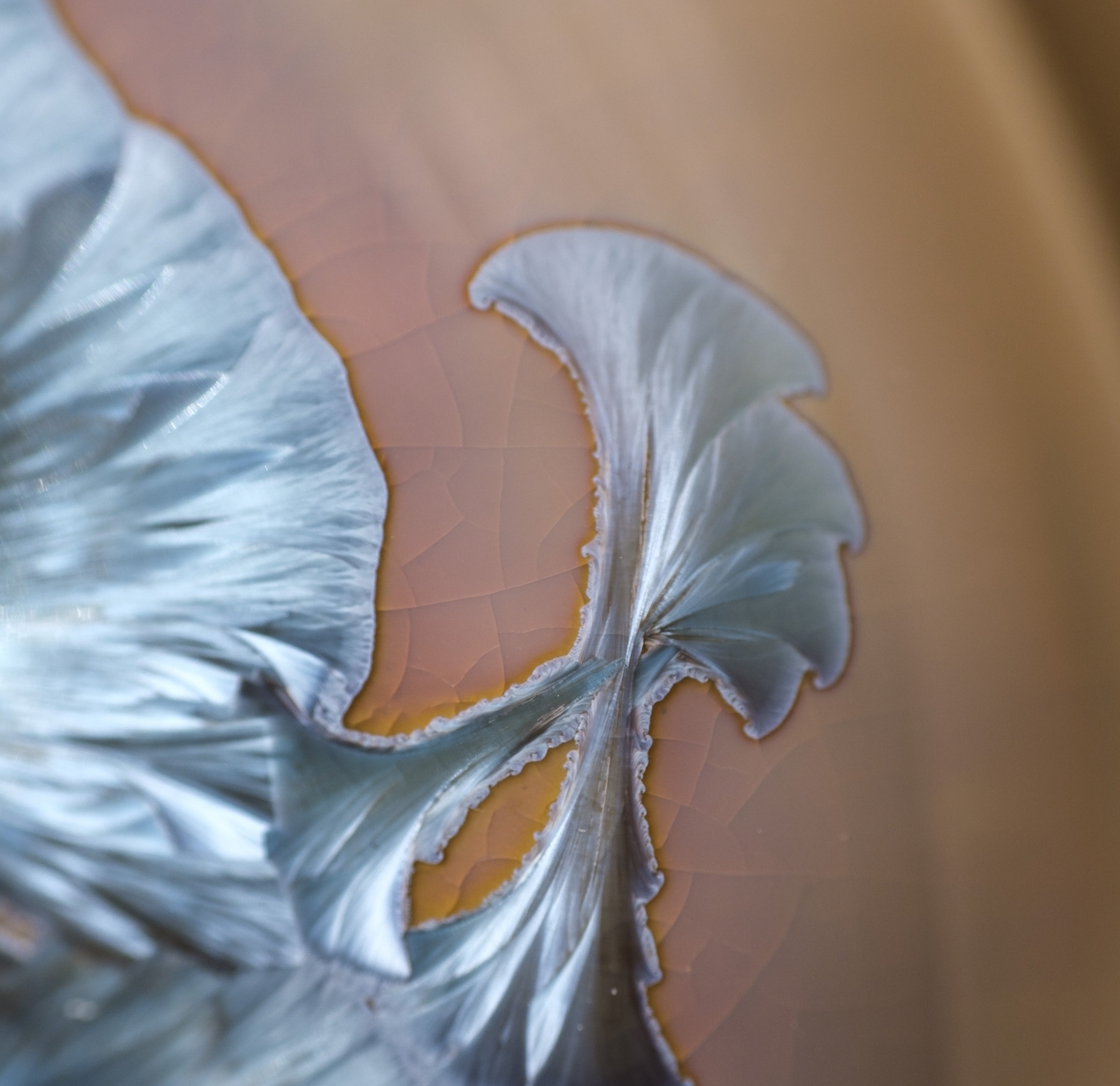 Détail de cristallisation d'une patère en porcelaine avec émail bleu et rose. Création unique par l'atelier Ombre d'Or.