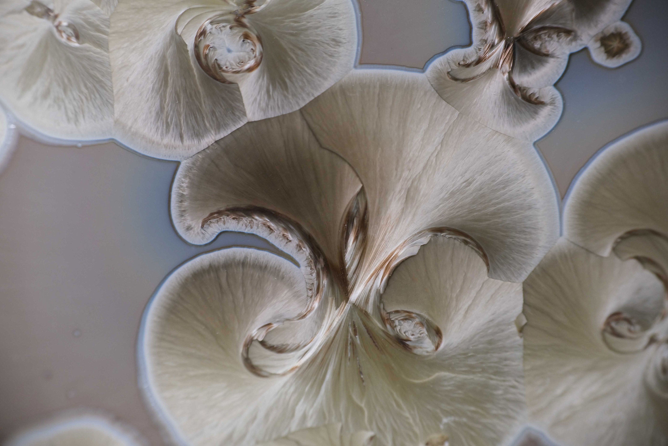 patere-porcelaine-detail-cristallisation