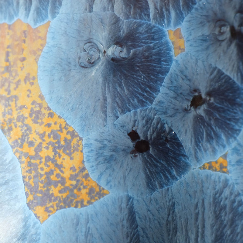 #couleur_bleu