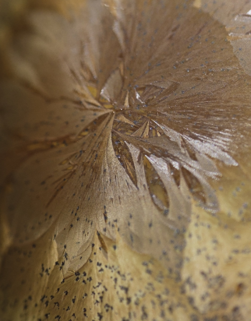 Détail de cristallisation d'une patère en porcelaine avec émail marron, création sur mesure Ombre d'Or.